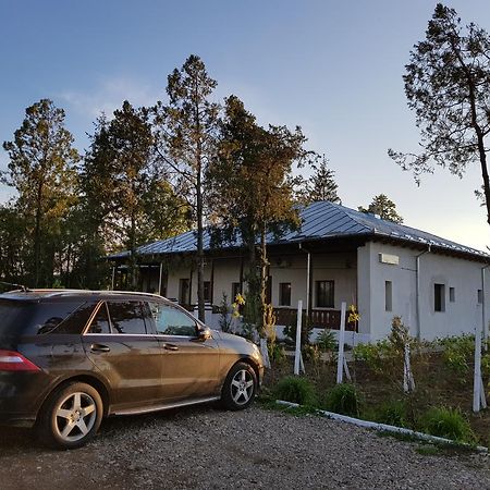 Отель Conacul Balta Alba Экстерьер фото