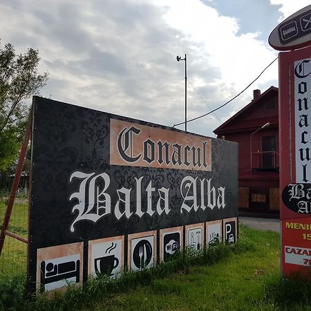 Отель Conacul Balta Alba Экстерьер фото
