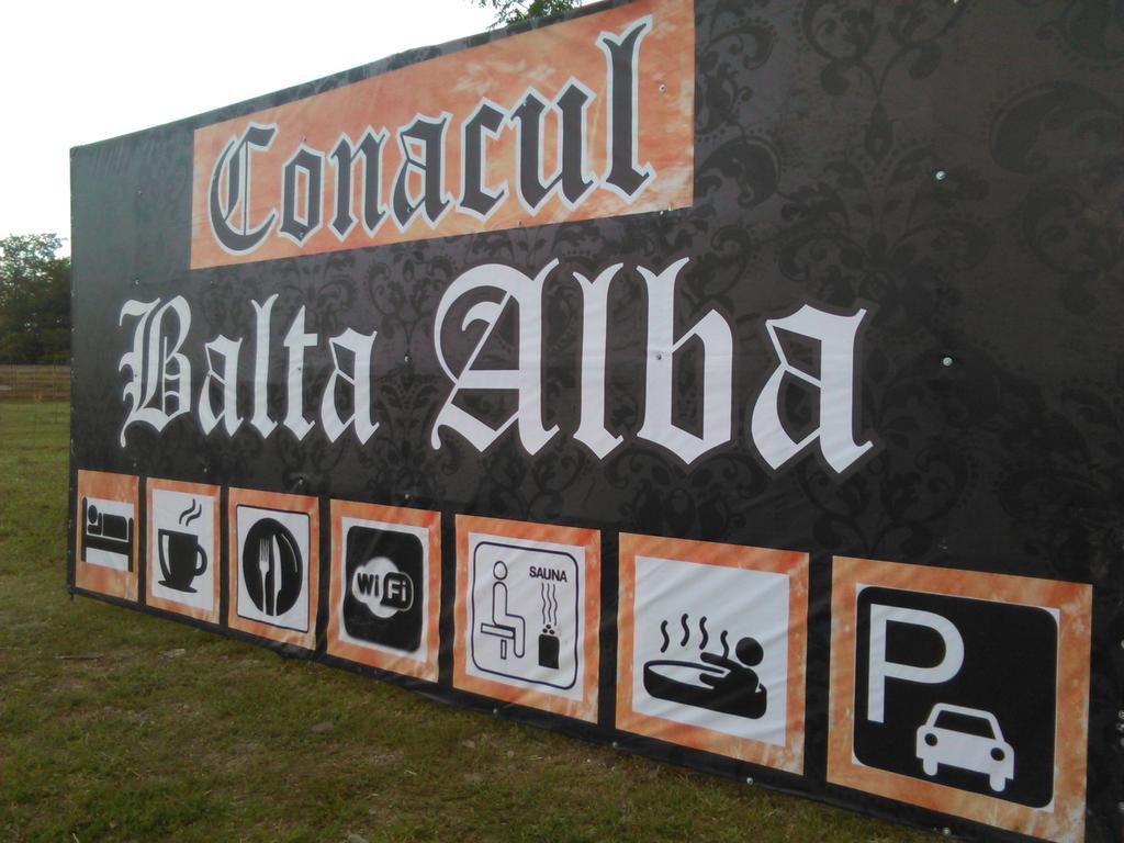 Отель Conacul Balta Alba Экстерьер фото